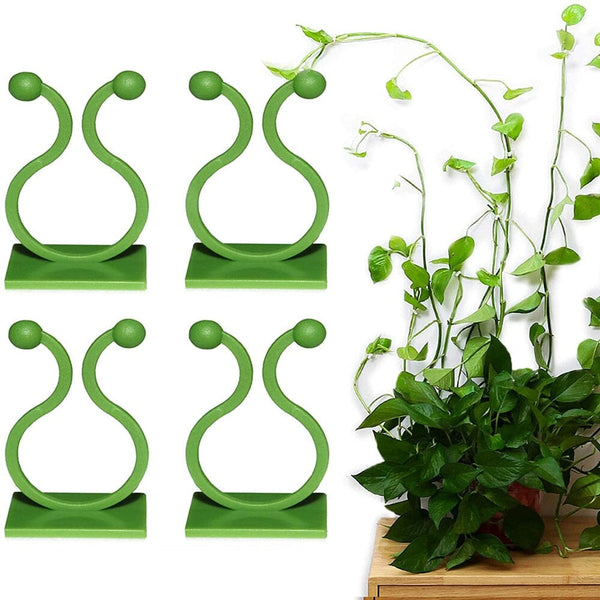Grampo de parede para Plantas