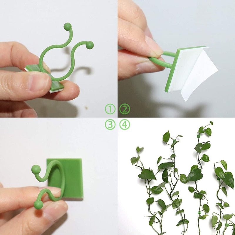Grampo de parede para Plantas